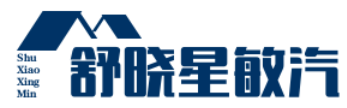 海口琼山舒晓星敏汽车用品店